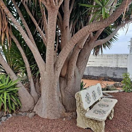 Tenerife Apartment Dulcynea With Terrace And Garden 600M2 With Ocean And Teide View Icod De Los Vinos Exterior photo