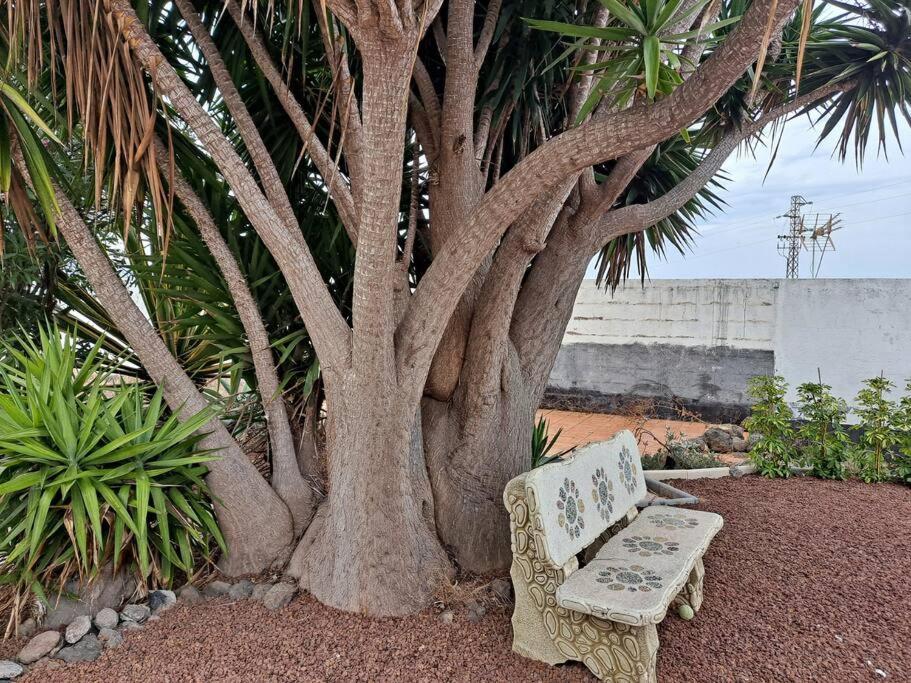 Tenerife Apartment Dulcynea With Terrace And Garden 600M2 With Ocean And Teide View Icod De Los Vinos Exterior photo